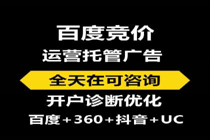 专业sem托管服务案例，揭秘广告投放优化策略